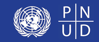 pnud logo